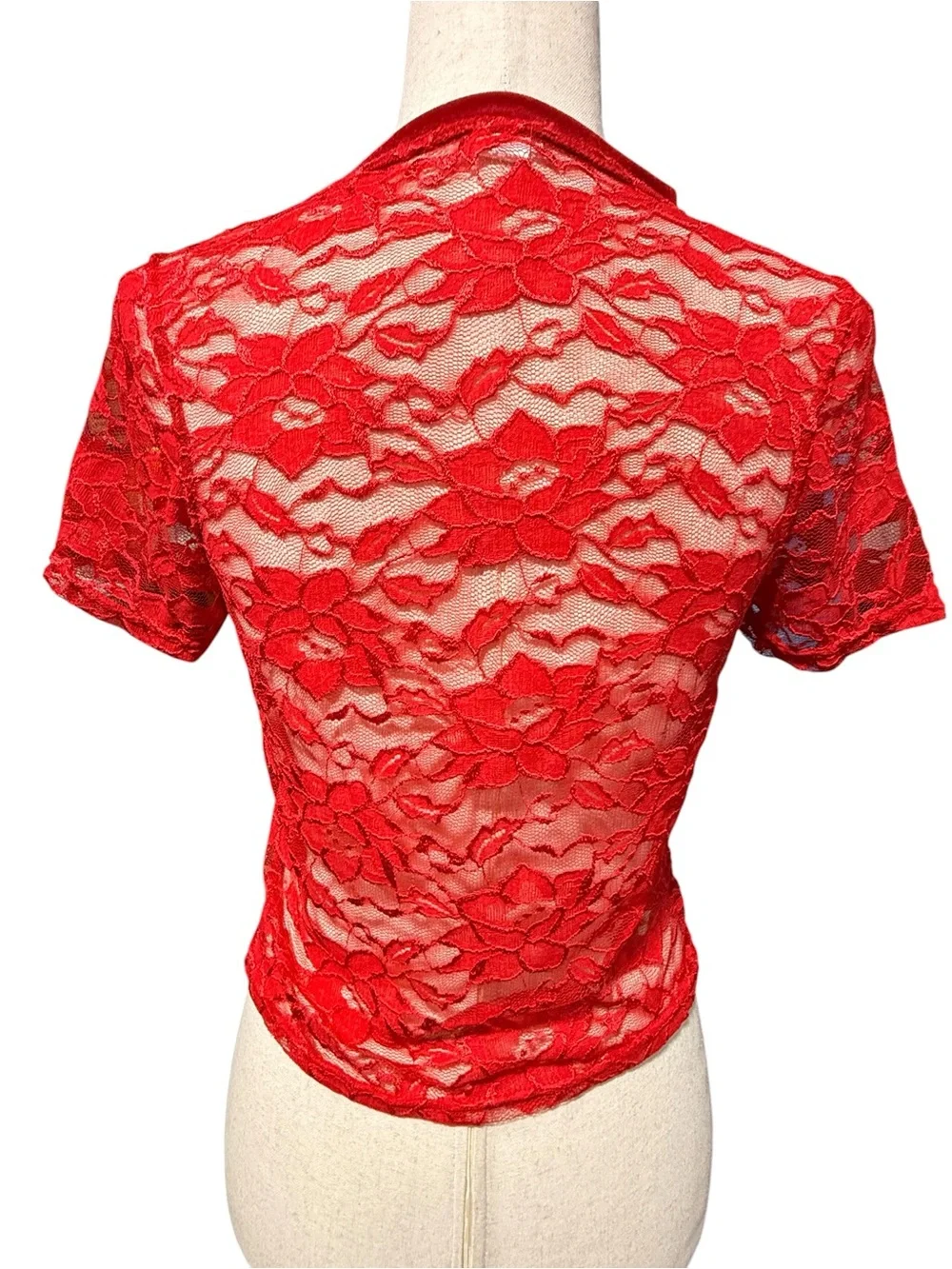 Red Lace Short Sleeve Top with Velvet Trim Size L Whimsigoth Romantic Sheer Mesh